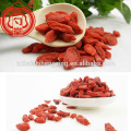 Importar bayas de goji Baya de goji seca china Ningxia bayas de goji secas a la venta